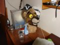 DSC00312.JPG